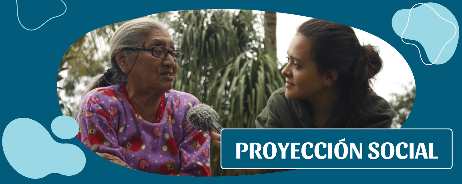 Proyección Social (3)